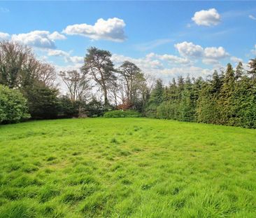 3 bedroom detached house to rent - Photo 6