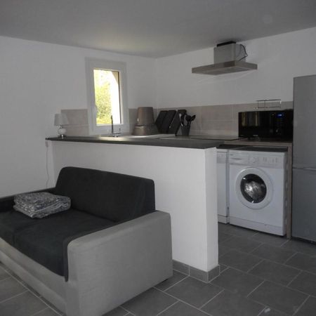 Location Appartement 2 pièces Meublé 42m² FONTAINES EN SOLOGNE 41250 - Photo 3