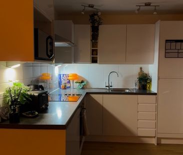 Studio Flat, Princeton Place, L8 - Photo 5