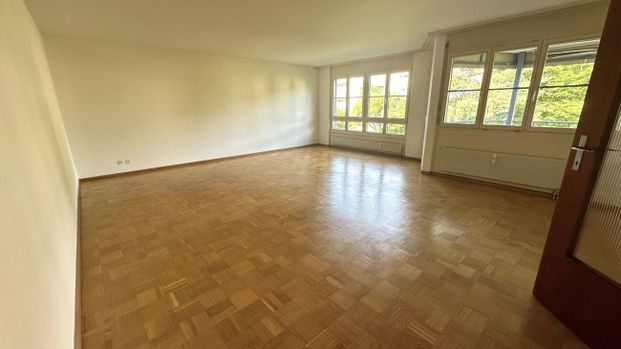 Schöne 3.5 Zimmerwohnung mit grossem Balkon - Foto 1