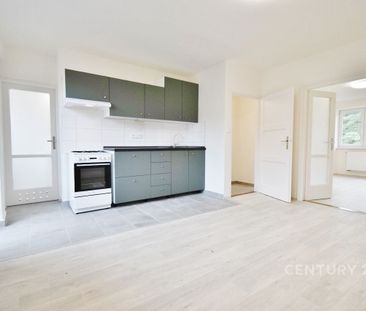 Pronájem bytu 2+1 57 m², Došlíkova 2251, Brno - Photo 4