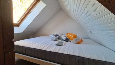 Location Appartement 1 pièce 23m² ORLEANS 45000 - Photo 5