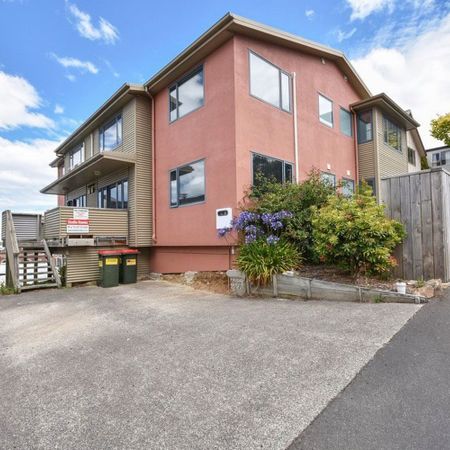 Modern 1-Bedroom Apartment in Dunedin City Centre - Photo 3
