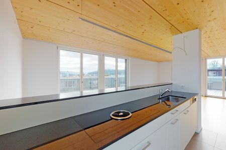 Your Attic Dream with Terrace - Photo 4