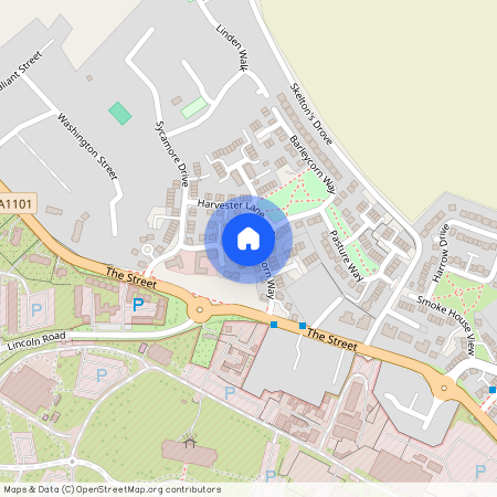 Friesian Close, Beck Row, Bury St. Edmunds, Suffolk, IP28