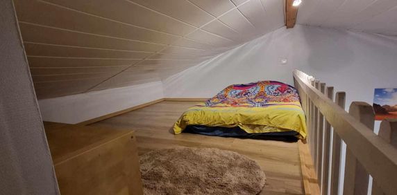 Location Appartement 1 pièce 22m² VILLENAVE D ORNON 33140 - Photo 2