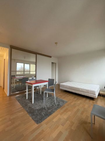 Location Appartement 1 pièce 31m² - Photo 2