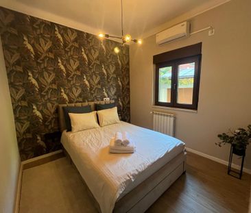 Kiseleff-parc, 3 camere, D/D+P+1+M - Photo 2