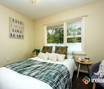 Brick Beauty in Bryndwr - Photo 3