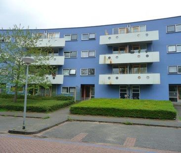 Nieuw - Photo 4