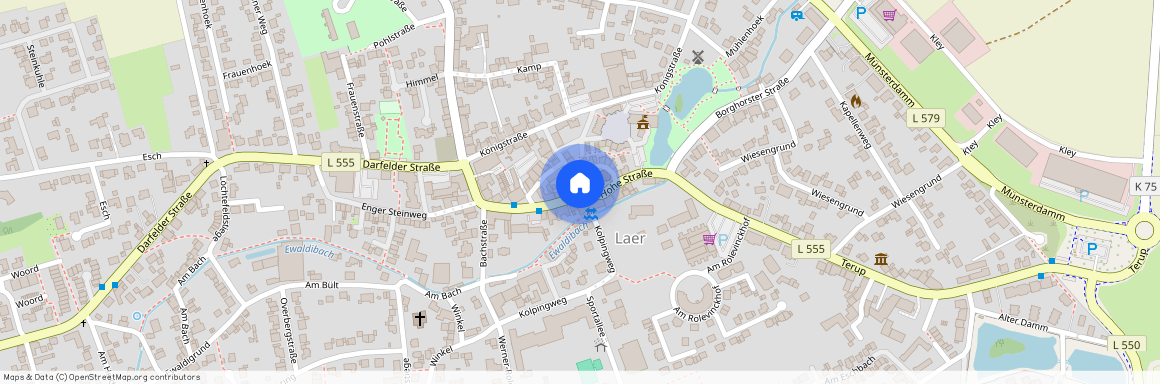 48366 Nordrhein-Westfalen - Laer