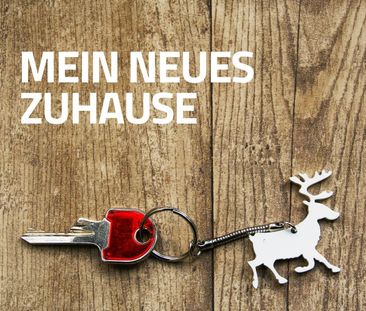 Neues Zuhause gesucht? - Foto 1