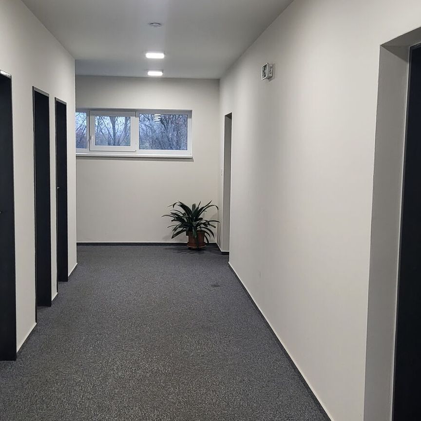 Pronájem bytu 2+kk v osobním vlastnictví 57 m², Olomouc - Fotografie 1