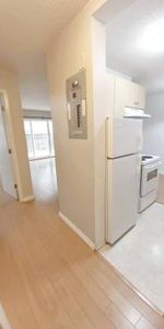 Kitsilano 1bdrm close to Kits beach - avail now - Photo 4