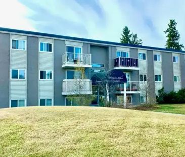 Renovated 1 Bedroom Suite Available! | 9560 163 Street Northwest, E... - Photo 1