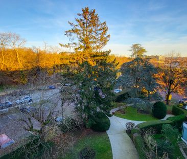 Grand studio en étage Le Chesnay Rocquencourt (78150) - Photo 6