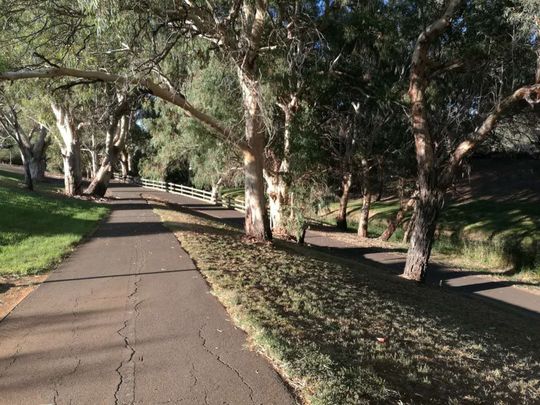 Family Home Close to O Bahn - Photo 1