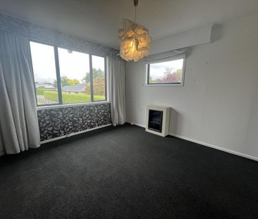 Windsor Winner - Photo 6