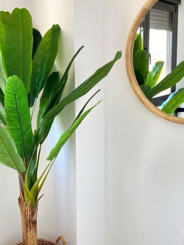 2 bedroom luxury penthouse for rent in Estepona, Andalusia - Photo 2