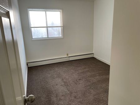IN SUITE LAUNDRY! 2 BED TOP FLOOR SUITE SMALL PET FRIENDLY! - Photo 5