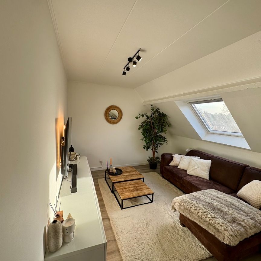 Gerenoveerd appartement met 2 slaapkamers in het centrum - Photo 1