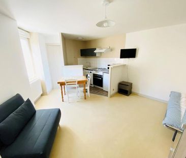 Location Appartement 1 pièce 22m² ST LAURENT SUR SAONE 01750 - Photo 2