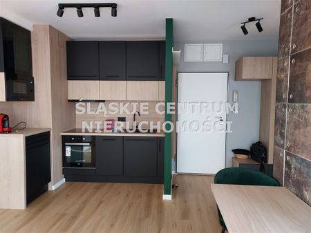 Dąb, Johna Baildona, Katowice - Zdjęcie 3
