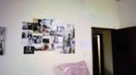 Charming 3BR Apartment in North Dunedin - Photo 4