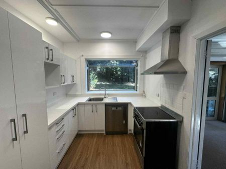 Spacious and sunny in St Clair! - Photo 3