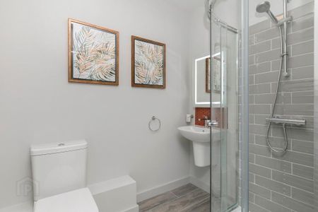 Apt 46 The Residence, 336 Ormeau Road, Belfast, BT7 2GE - Photo 4