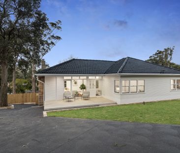 Renovated Family Home in Quiet Locale - Photo 4