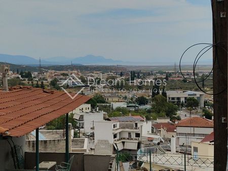 Μονοκατοικία για ενοικίαση Αφανός - Νταμάρια (Λαμία) - Photo 5