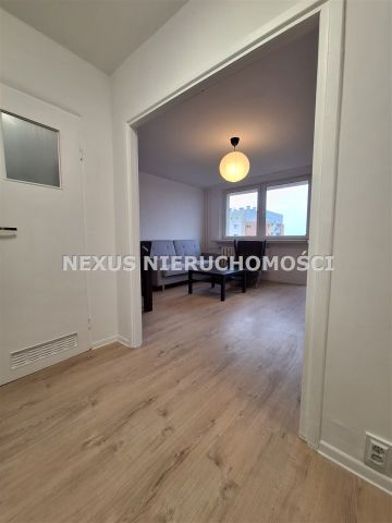 Dąbrowa Górnicza - Zdjęcie 5