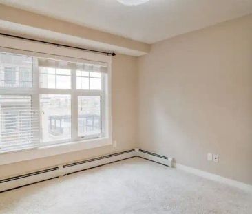 Contemporary 2 Bedroom 2 Bathroom Apartment in Mahogany | 2310 - 11... - Photo 1