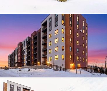 For Lease - 4 Spice Way Unit# 508, Barrie, Ontario - Photo 4