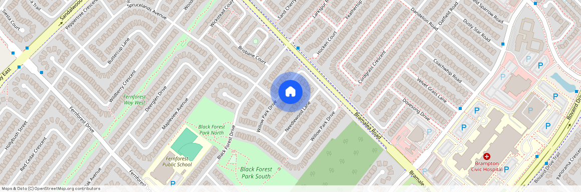 163 Willow park dR Drive, Brampton