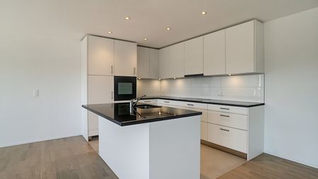 Moderne 4.5 Zimmerwohnung in Heitenried - Photo 4