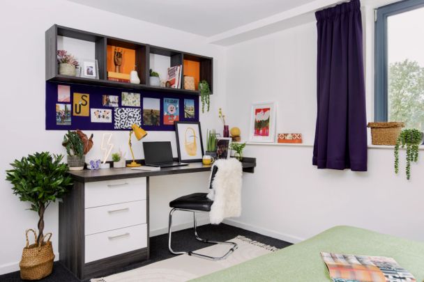 Large Studio - Photo 1
