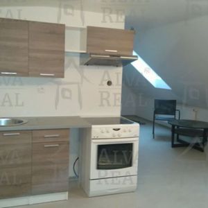Pronájem podkrovního bytu 1 + kk, v RD Brno - Líšeň - Fotografie 2