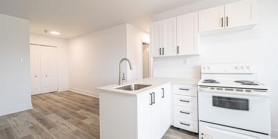 5-1/2 - 8281 Avenue Des Vendéens, Anjou - Photo 3