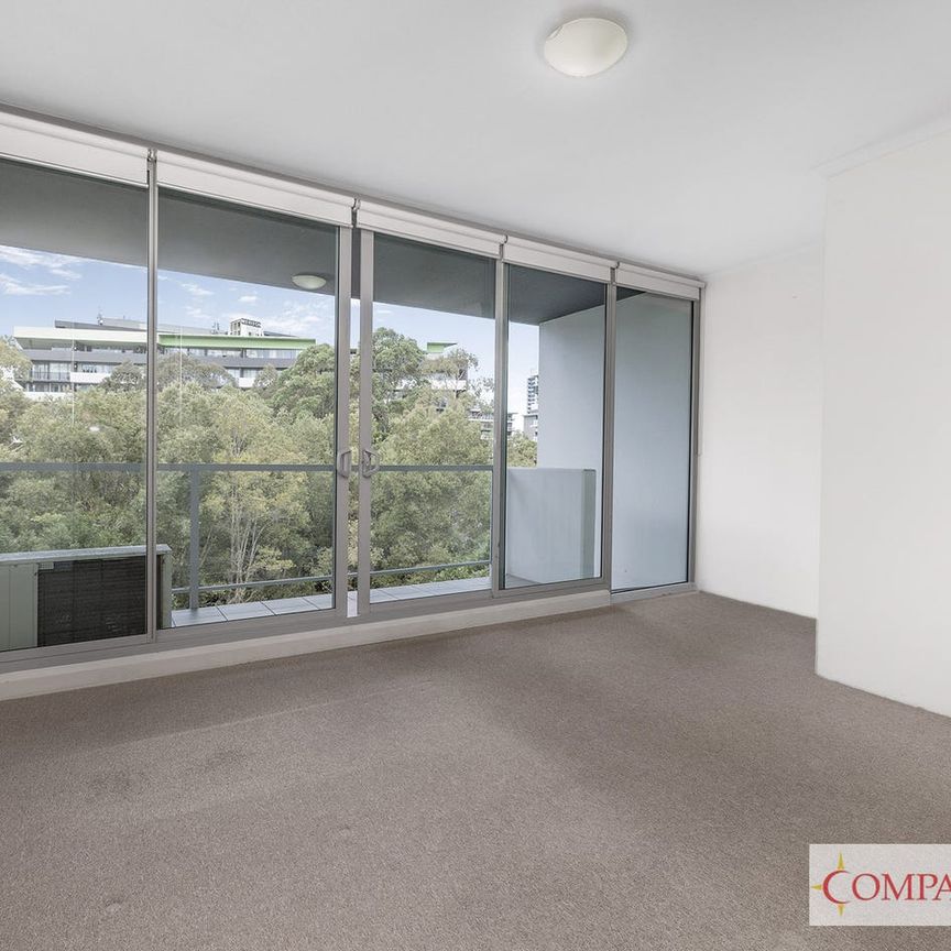 Spacious split level with park views - Photo 1