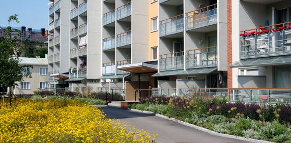 Norra Köpmangatan 42 F, våning 1 - Photo 2