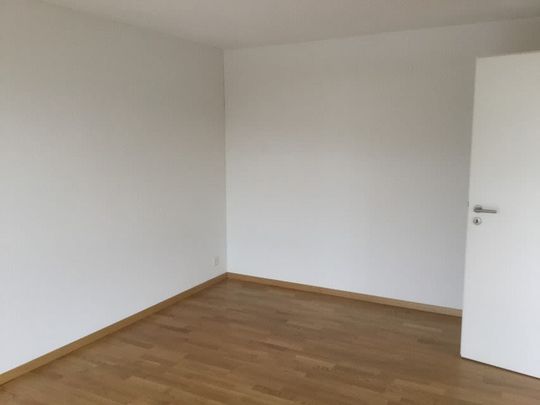 2.5 Zimmer, 60 m², EG - Photo 1