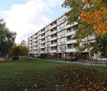 Trädgårdsgatan 50 A - Foto 6