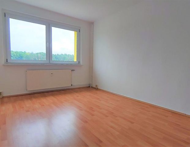 Schöne 3-Raumwohnung mit wundervollem Ausblick sucht neue Mieter - Muldestausee OT Gossa - Foto 1