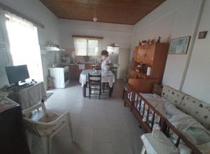 Μονοκατοικία για ενοικίαση - Κίσσαμος, - Photo 3