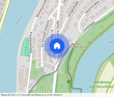 Neu renovierte 2 Zimmer-Singlewohnung in Hirschhorn! - Foto 1