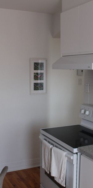 Apt. 3 1/2, Meublé Et Rénové - Photo 1