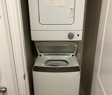 44 Regina Avenue #BSMT 1 - Photo 6