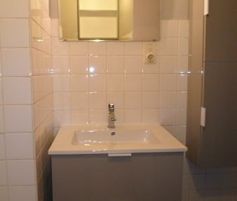 Location Appartement 1 pièce 23m² CHAMBERY 73000 - Photo 2